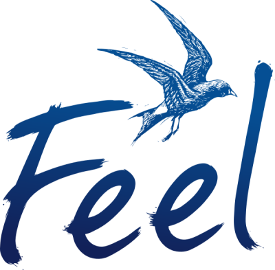 Feel Festival